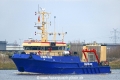 Storm Diver (OK-080225-1).jpg