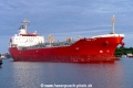 Bow Luna (OK-230626-0).jpg