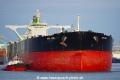Sea Lion LS-290718-2.jpg