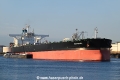 Sea Pearl OS-050822-01.jpg