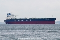 SM White Whale 2 OS-181022-04.jpg