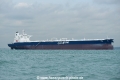 Shaden OS-081117-16.jpg