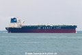 SM White Whale 2 OS-181022-17.jpg