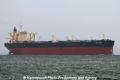 Sky Wing (MS-111007-05).jpg