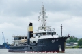 Sherpa (OK-200721-0).jpg