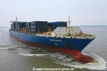 Windswept KH-160223-1.jpg