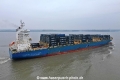 Windswept KH-160223-9.jpg