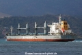 Ultra Bosque RV-250822-04.jpg