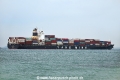 YM Enhancer OS-271016-15.jpg