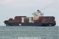 Zim Shekou HK-240618.jpg