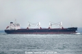 Western Lucrezia OS-171016-05.jpg