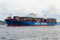Cosco Shipping Panama (OK-250917-5).jpg