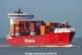 BG Red TL-070226-1.jpg