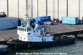 Harald (KB-D110913-01).jpg