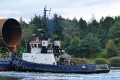Felix (OK-021016-1).jpg