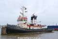 Hippo (OK-040224-0).jpg