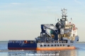 UP Coral (OK-200415-6).jpg
