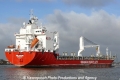 HHL Amur (US-040313-1).jpg