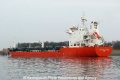 Marida Mistletoe (OK-120311-4).jpg