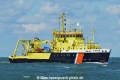 Zirfaea HK-020915-1.jpg