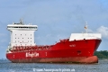 BG Red (KB-D230826-05).jpg