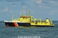 Zirfaea HK-020915-2.jpg