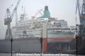 Albatros 120413.jpg