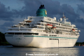 Amadea (MS-250506-48).jpg