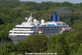 Amadea (MS-250506-02).jpg