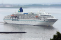 Amadea (210506-06).jpg