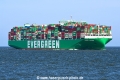 Ever Meed JG-010924-3.jpg