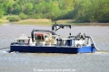 Sauger 3 120516-04.jpg
