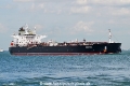 Corossol OS-241025-09.jpg