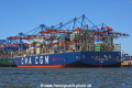 CMA CGM Magellan 060718-02.jpg