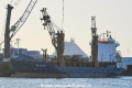 BBC Dolphin 280122.jpg
