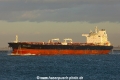 Front Castor NT-290122-01.jpg