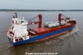 BBC Dolphin KH-230924-6.jpg