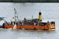 Sauger 4 HK-190921.jpg