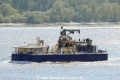 Sauger 3 120516-01.jpg