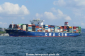 CMA CGM Lisa Marie (OK-240821-5).jpg