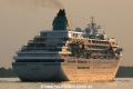 Amadea (AW-120506-22).jpg