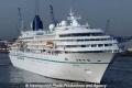 Amadea (120506-30).jpg
