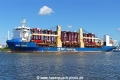 BBC Coral (OK-280724-1).jpg