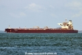 C Nobility (MS-150816-01).jpg