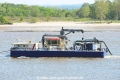 Sauger 3 120516-03.jpg