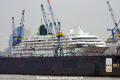 Amadea 080416-02.jpg