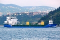 Ida (OK-070608-0).jpg