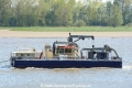 Sauger 3 120516-02.jpg