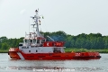 Hulk (OK-310525-3).jpg
