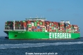 Ever Apex SH-300325-01.jpg